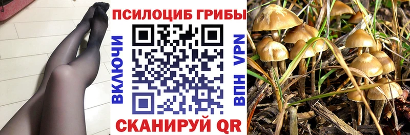 Галлюциногенные грибы мицелий Верхняя Пышма